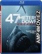 47 Meters Down: Uncaged (2019) Hindi Dubbed Movie