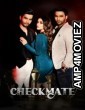 Checkmate (2024) Season 1 Hindi Web Series