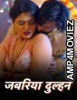 Jabariya Dulhan (2024) S01 Part 1 Ratri Hindi Web Series