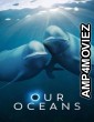 Our Oceans (2024) Season 1 Hindi Dubbed Web Series