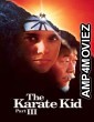 The Karate Kid Part III (1989) ORG Hindi Dubbed Movie