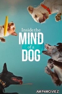 Inside The Mind of A Dog (2024) ORG Hindi Dubbed Movie